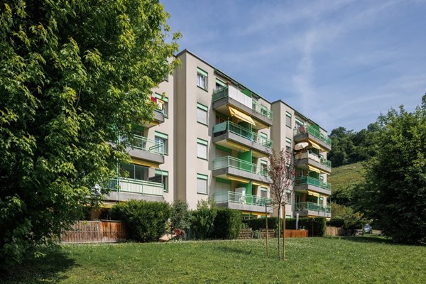 Bex, Canton de Vaud