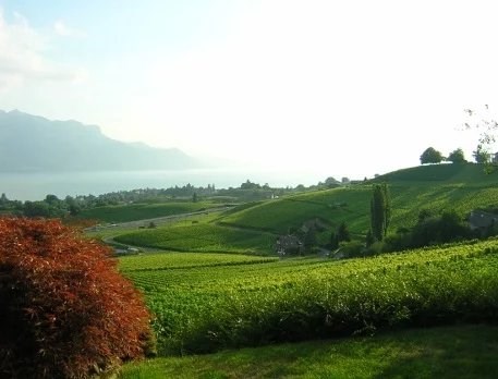 Blonay-Saint-Légier