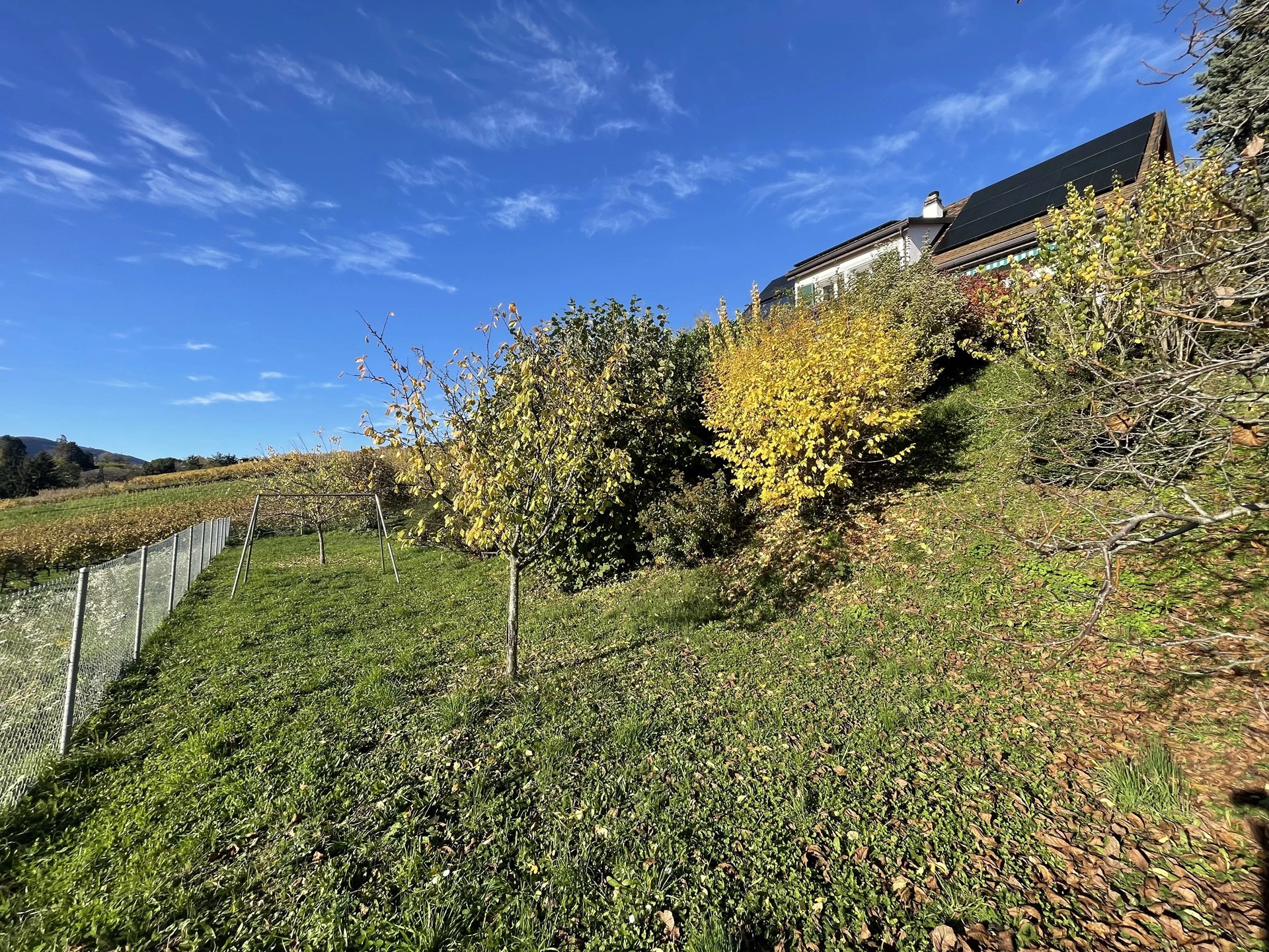 Blonay-Saint-Légier