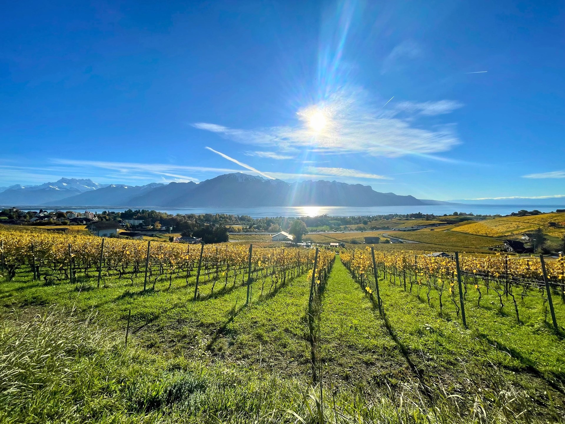 Blonay-Saint-Légier