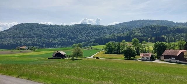 Puidoux