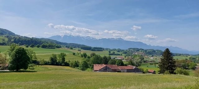 Puidoux